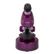 Микроскоп Levenhuk LabZZ M101 Amethyst\Аметист