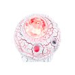 Астропланетарий Levenhuk LabZZ SP10 White Pearl