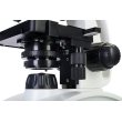 Микроскоп цифровой Levenhuk Discovery Atto Polar с книгой