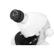 Микроскоп Levenhuk Discovery Micro Polar с книгой