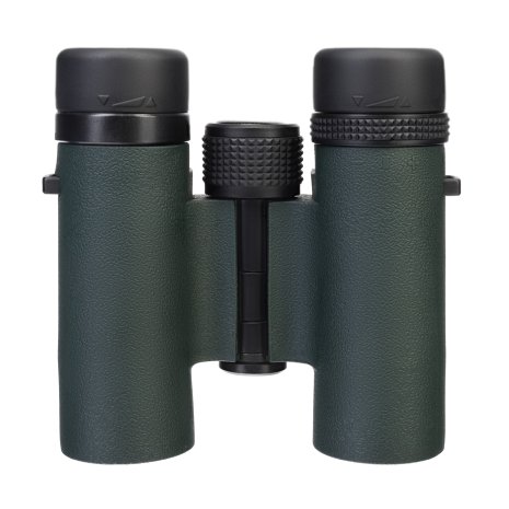 Бинокль Levenhuk Karma PRO 10x25